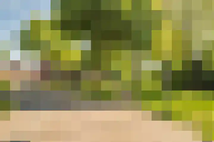 Zonnedauw 21 Sevenum thumbnail 53