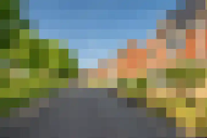 Zonnedauw 21 Sevenum thumbnail 54