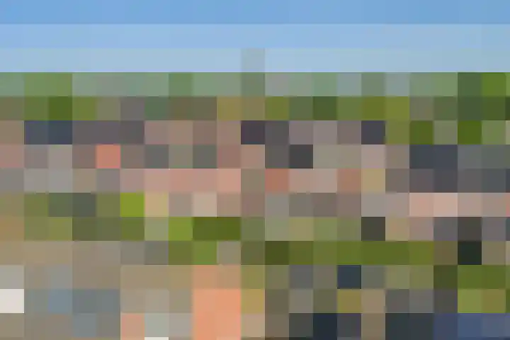 Zonnedauw 21 Sevenum thumbnail 55