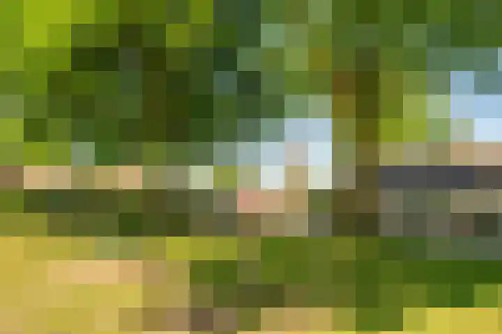 Zonnedauw 21 Sevenum thumbnail 56
