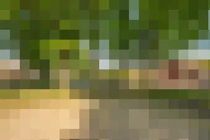 Zonnedauw 21 Sevenum thumbnail 57