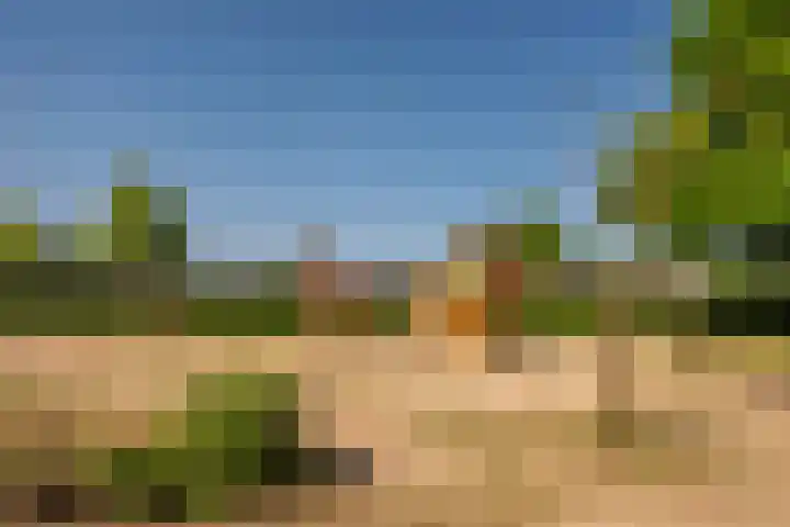 Zonnedauw 21 Sevenum thumbnail 58