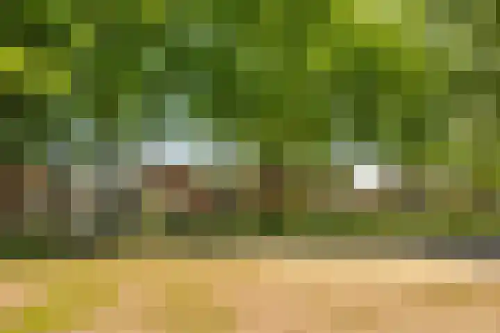 Zonnedauw 21 Sevenum thumbnail 59