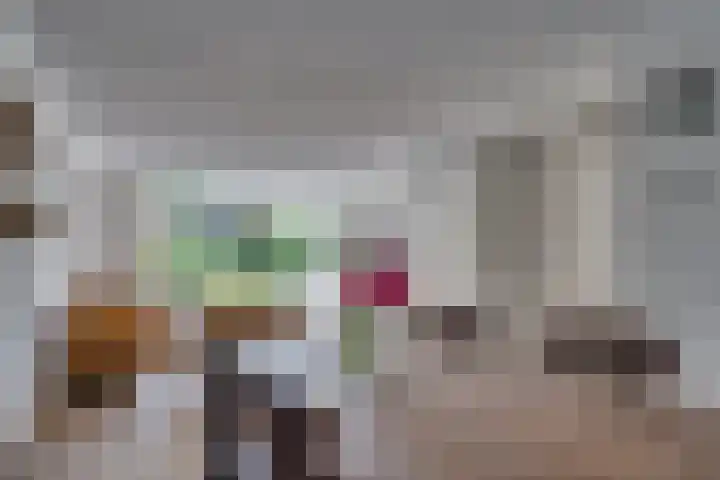 Zonnedauw 21 Sevenum thumbnail 6