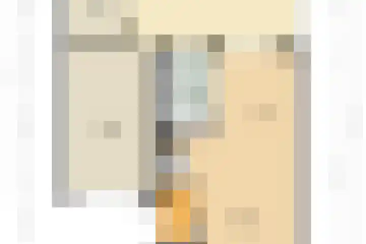 Zonnedauw 21 Sevenum thumbnail 60