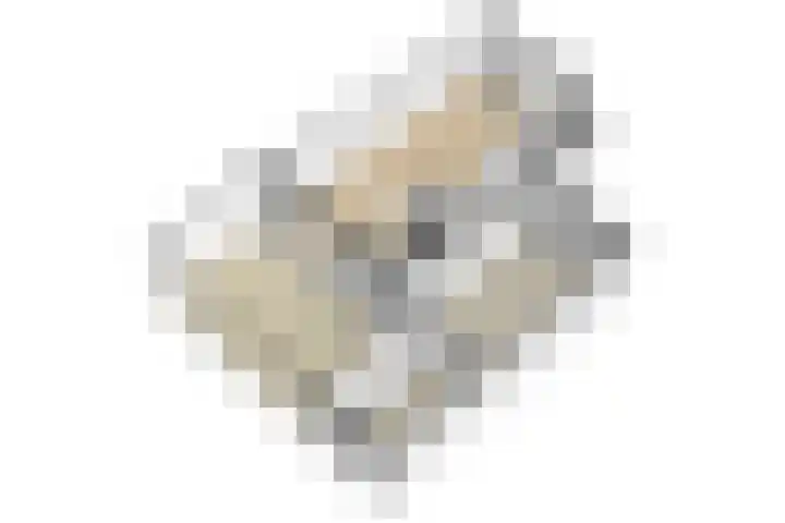 Zonnedauw 21 Sevenum thumbnail 61