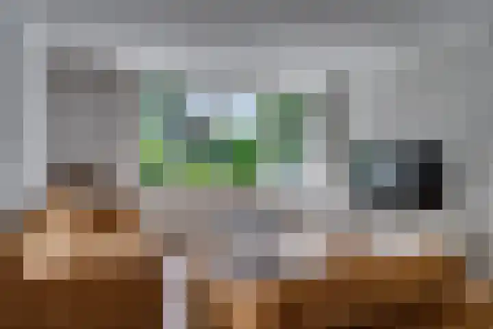 Zonnedauw 21 Sevenum thumbnail 7