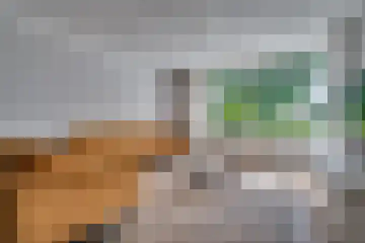 Zonnedauw 21 Sevenum thumbnail 8