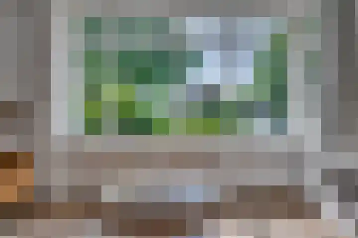 Zonnedauw 21 Sevenum thumbnail 9