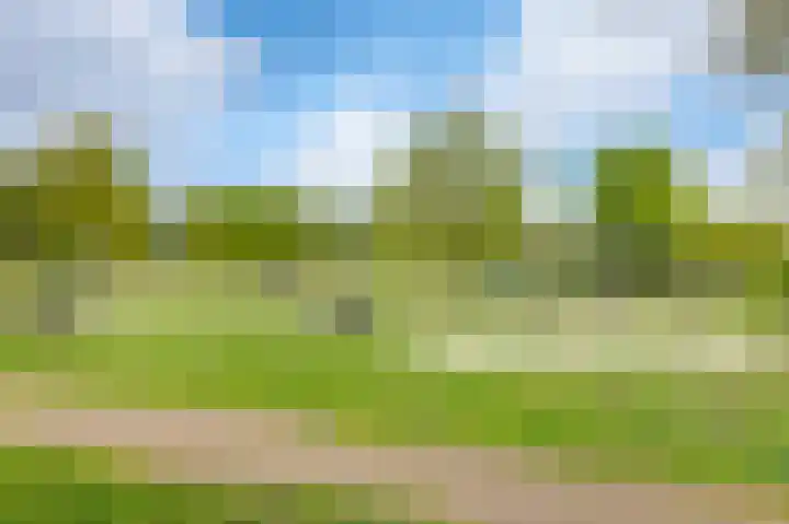 Zonnedauw 21 Valkenswaard thumbnail 30