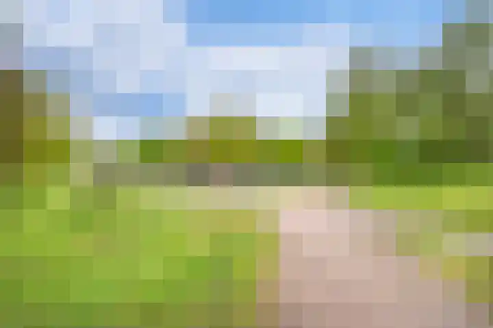 Zonnedauw 21 Valkenswaard thumbnail 31