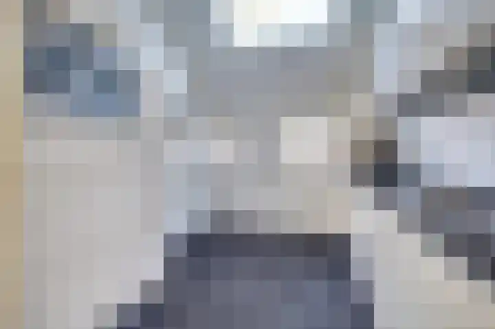 Zonnedauw 22 Goirle thumbnail 11