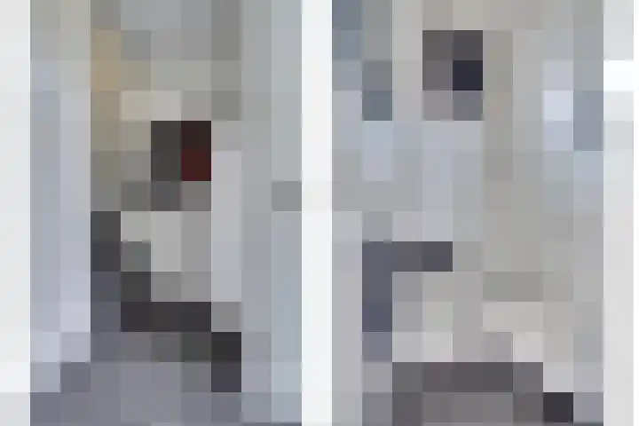 Zonnedauw 22 Goirle thumbnail 13