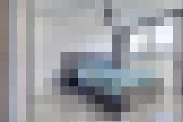 Zonnedauw 22 Goirle thumbnail 14