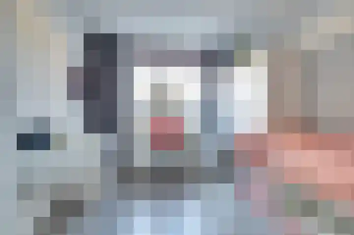 Zonnedauw 22 Goirle thumbnail 16