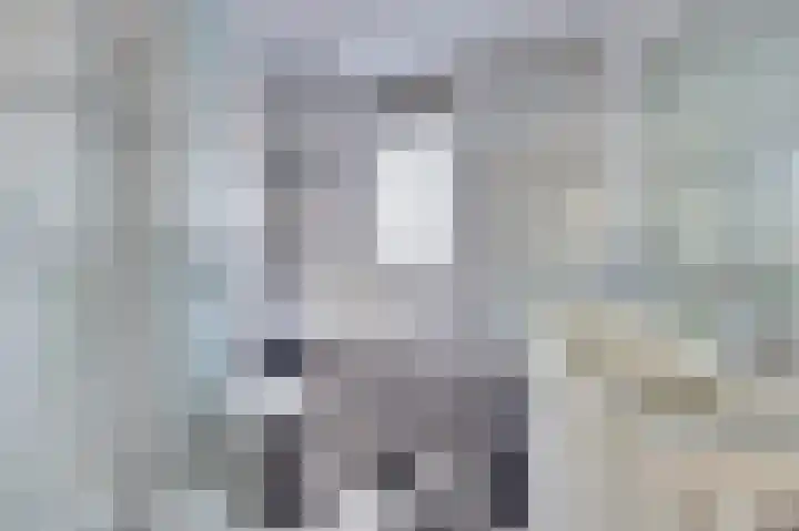 Zonnedauw 22 Goirle thumbnail 19