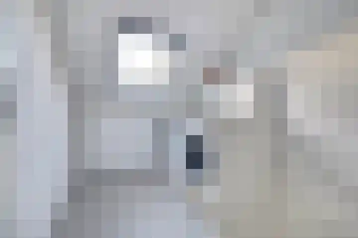 Zonnedauw 22 Goirle thumbnail 22