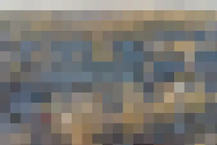 Zonnedauw 22 Goirle thumbnail 30