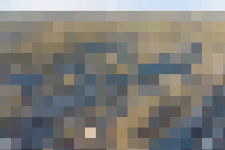 Zonnedauw 22 Goirle thumbnail 31
