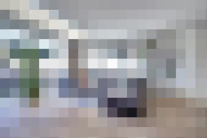 Zonnedauw 22 Goirle thumbnail 5
