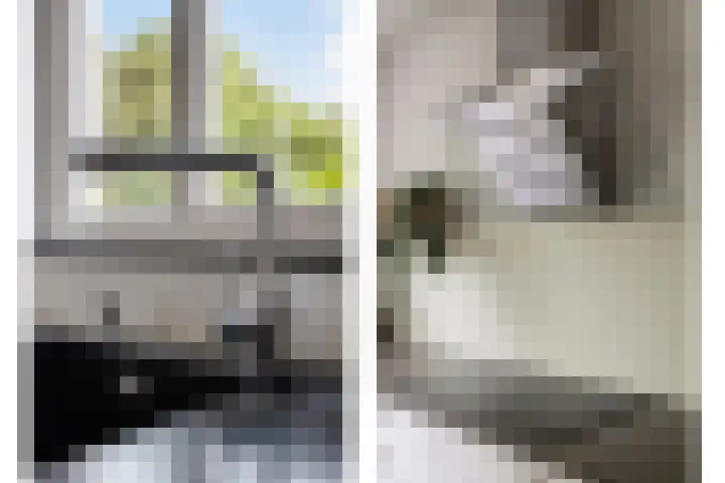 Zonnedauw 22 Odiliapeel thumbnail 10