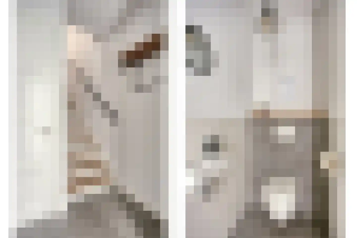 Zonnedauw 22 Odiliapeel thumbnail 11