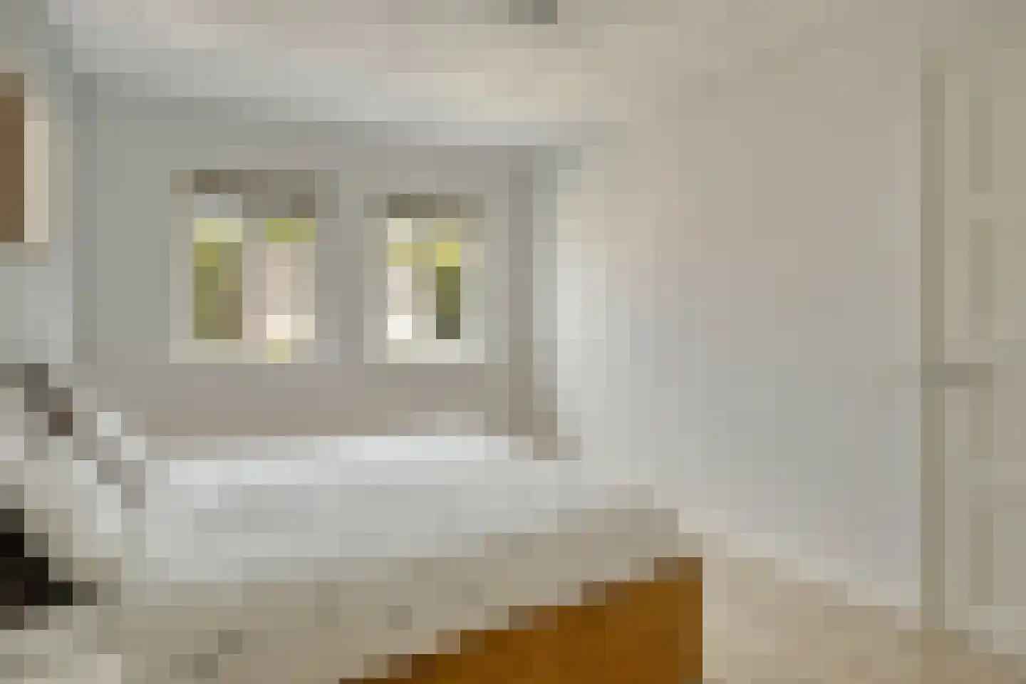 Zonnedauw 22 Odiliapeel thumbnail 13