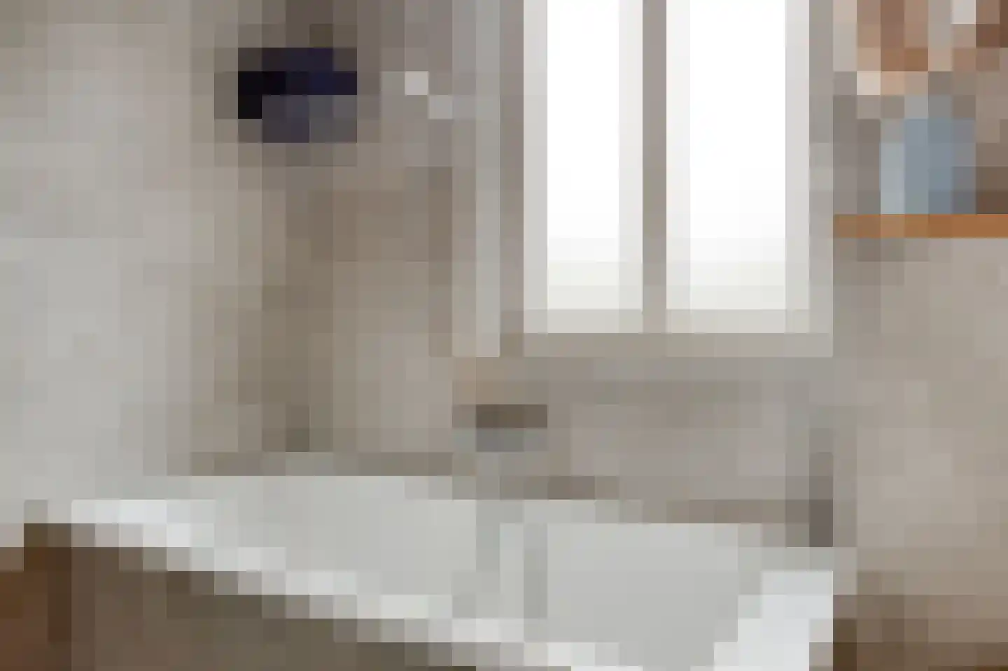 Zonnedauw 22 Odiliapeel thumbnail 15