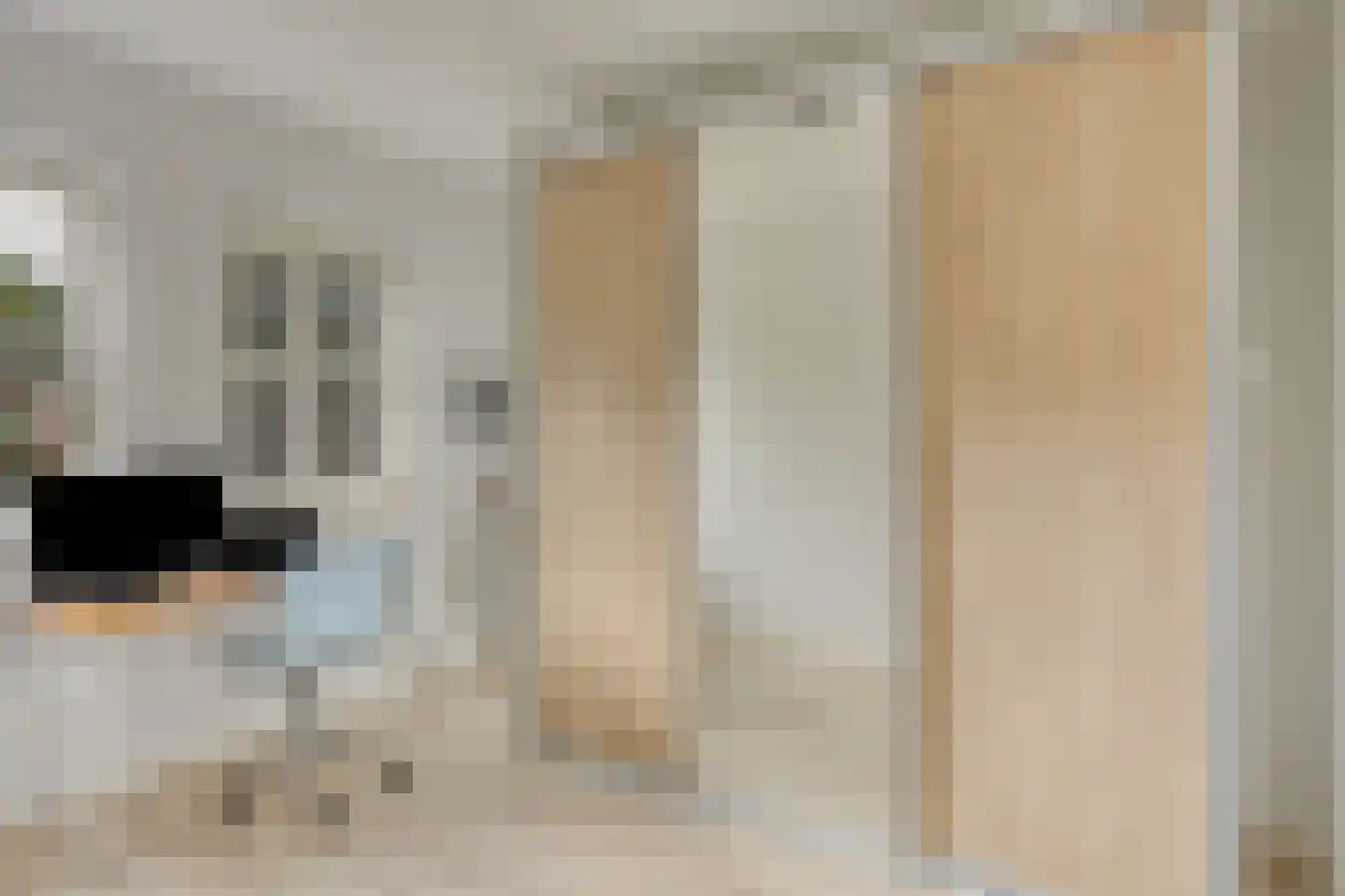 Zonnedauw 22 Odiliapeel thumbnail 17