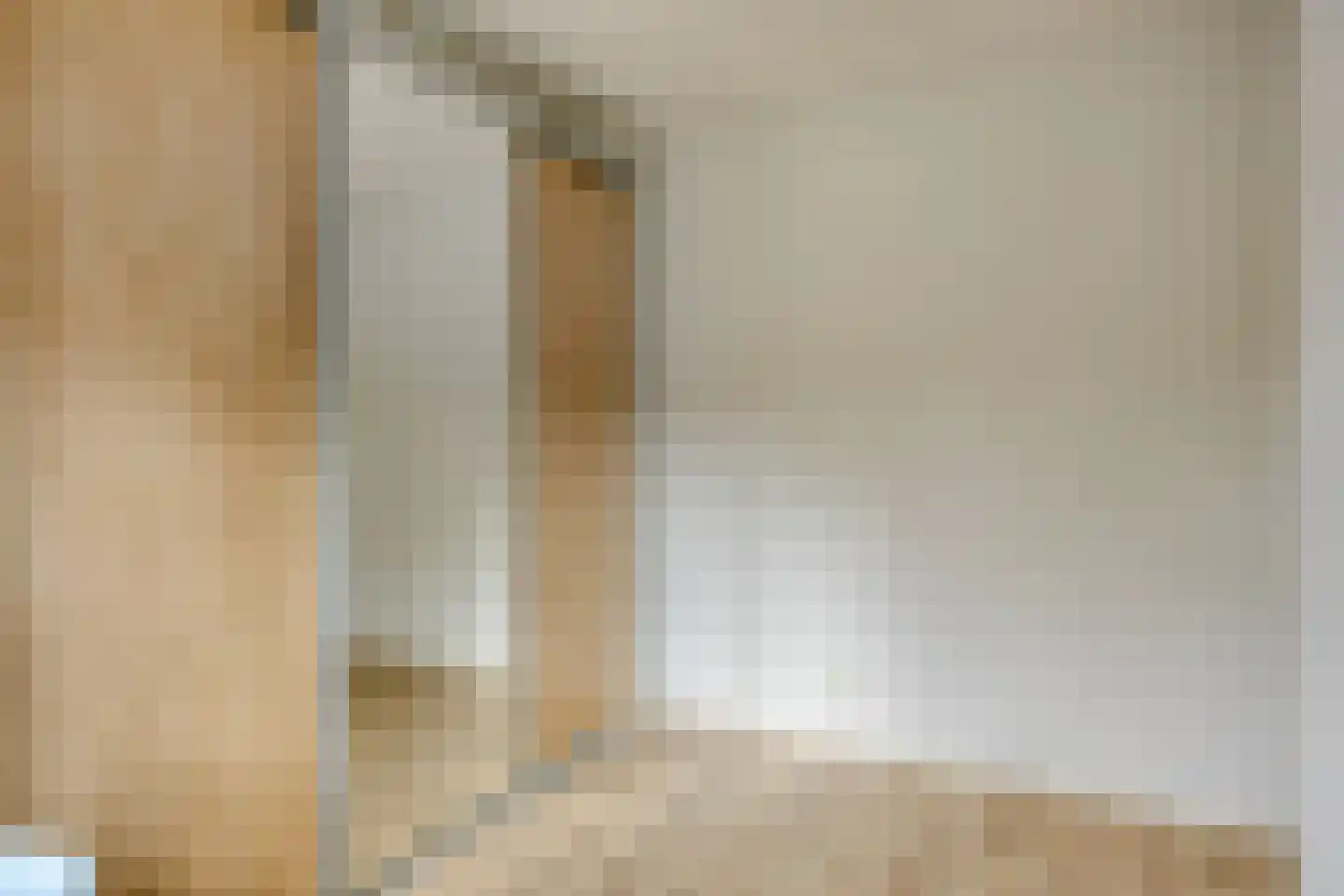 Zonnedauw 22 Odiliapeel thumbnail 18