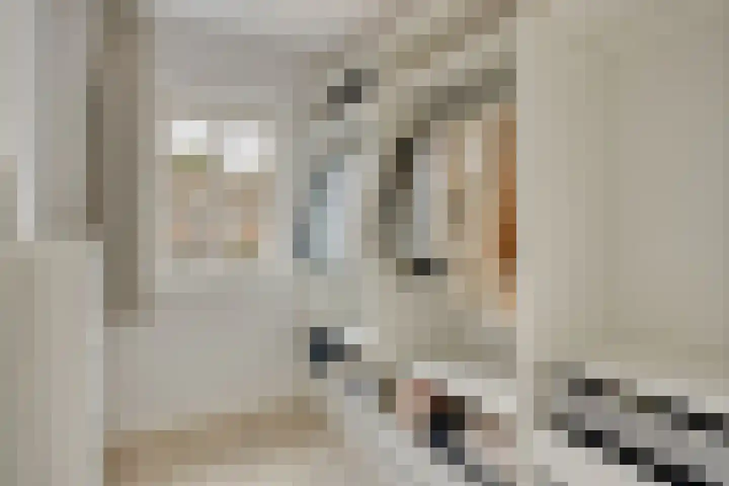Zonnedauw 22 Odiliapeel thumbnail 19