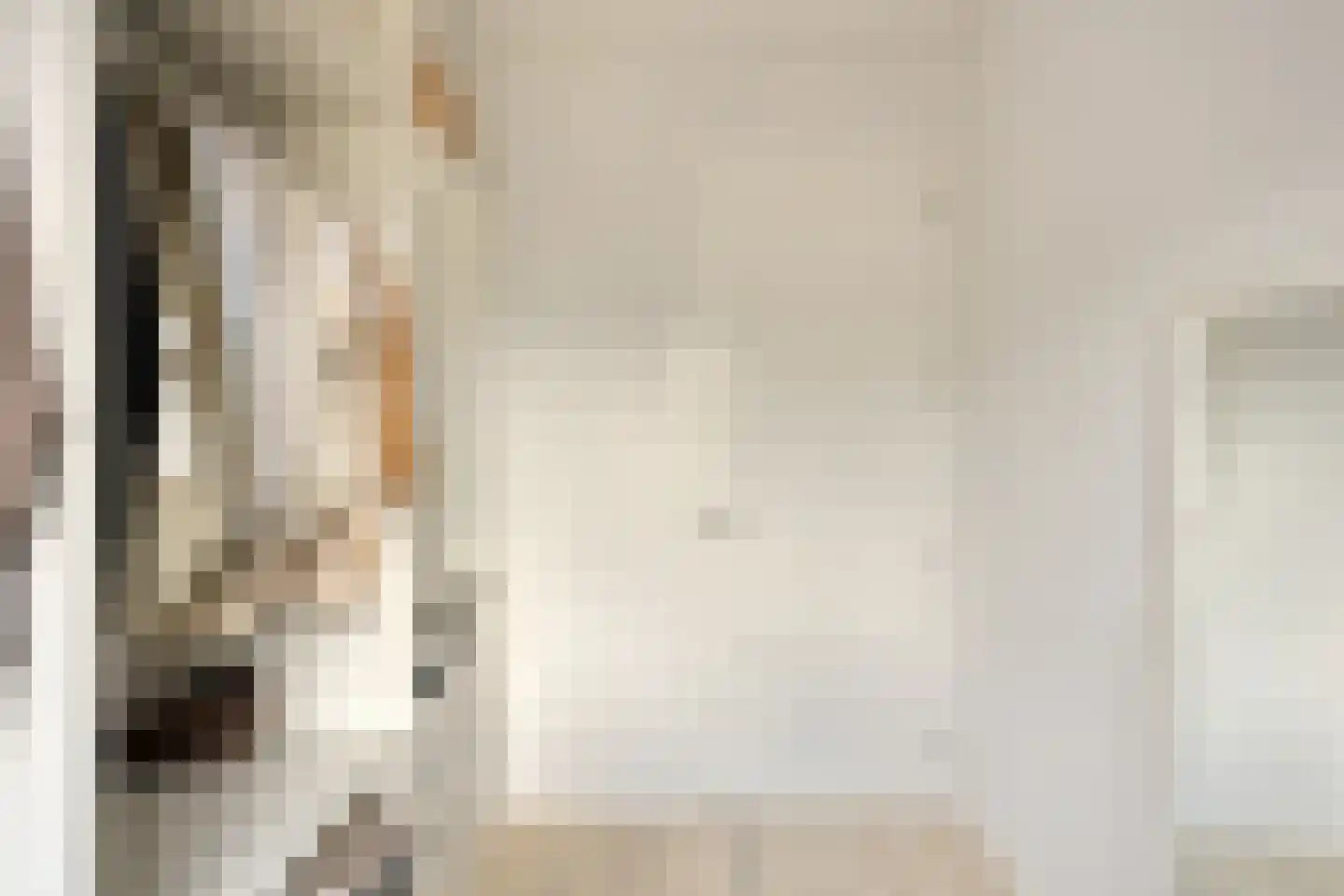 Zonnedauw 22 Odiliapeel thumbnail 20