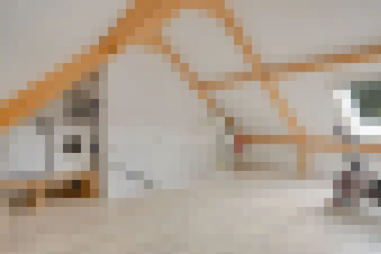 Zonnedauw 22 Odiliapeel thumbnail 23