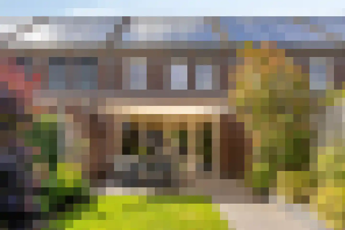 Zonnedauw 22 Odiliapeel thumbnail 25