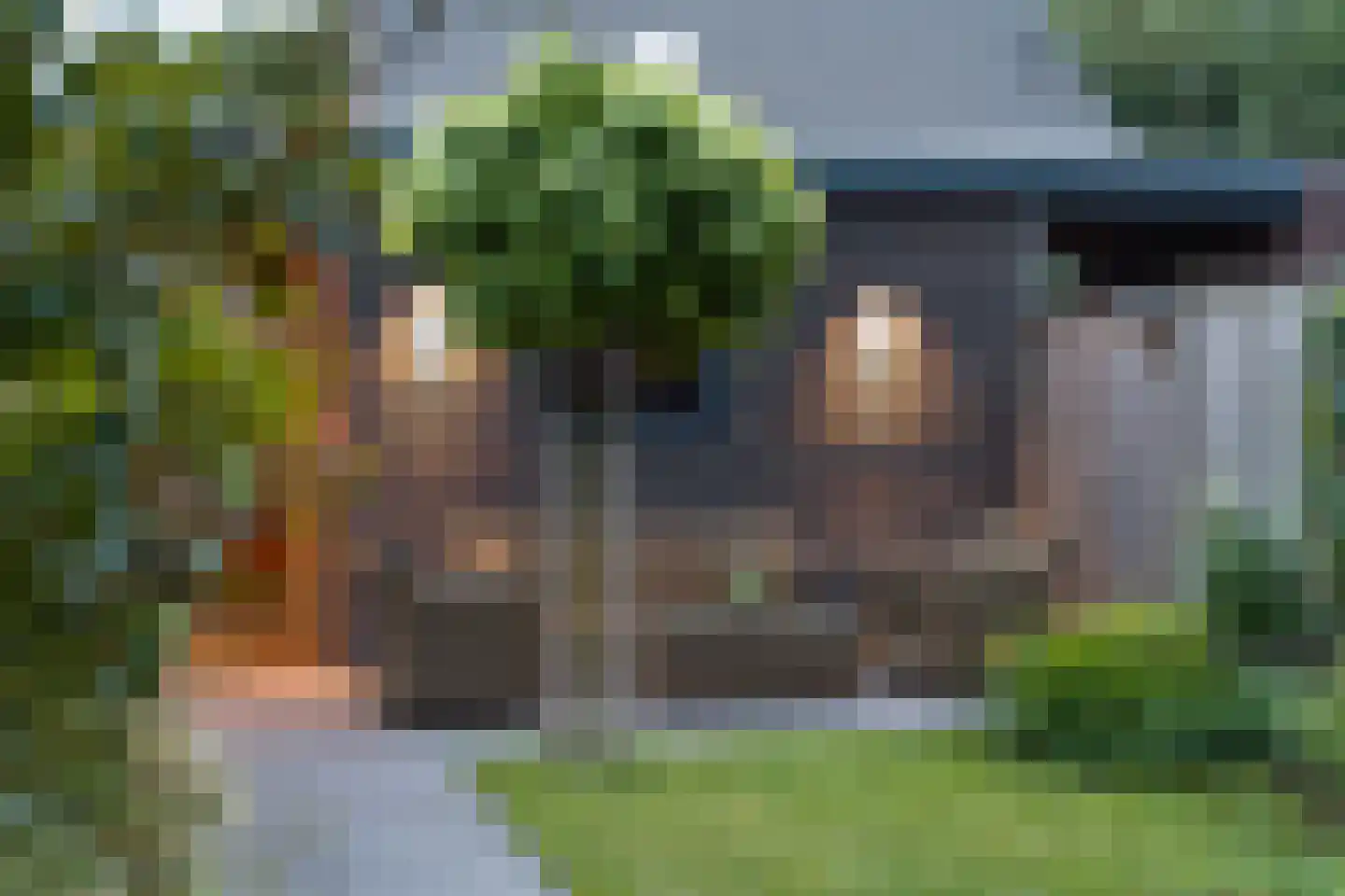 Zonnedauw 22 Odiliapeel thumbnail 27