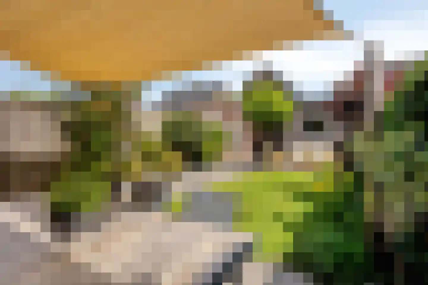 Zonnedauw 22 Odiliapeel thumbnail 28