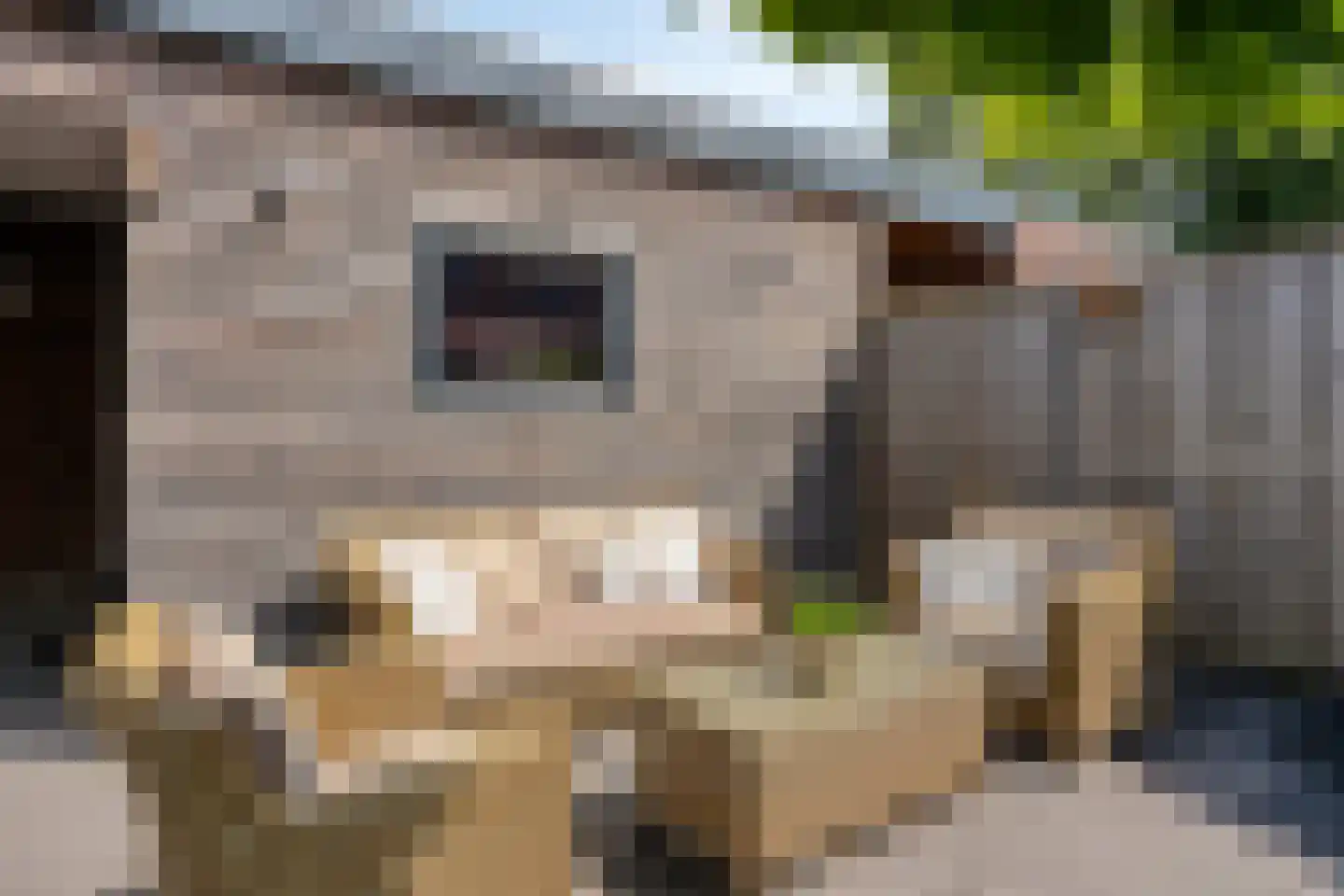 Zonnedauw 22 Odiliapeel thumbnail 30