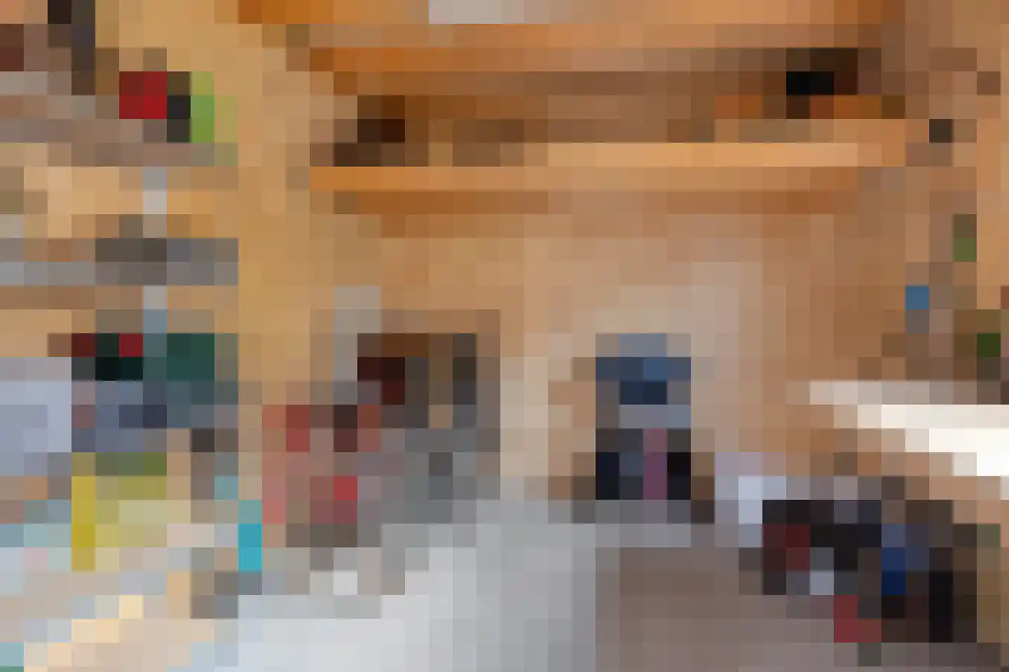 Zonnedauw 22 Odiliapeel thumbnail 32