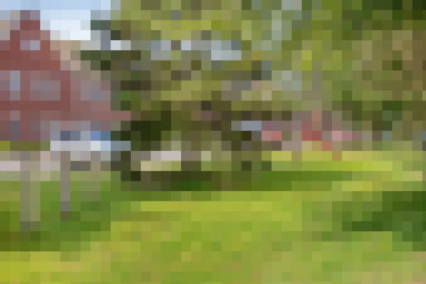 Zonnedauw 22 Odiliapeel thumbnail 36