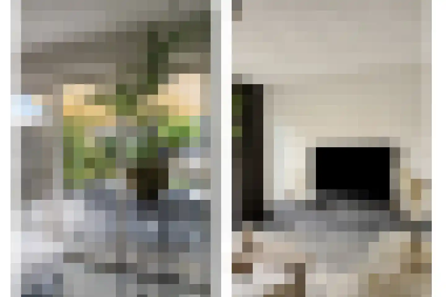 Zonnedauw 22 Odiliapeel thumbnail 4