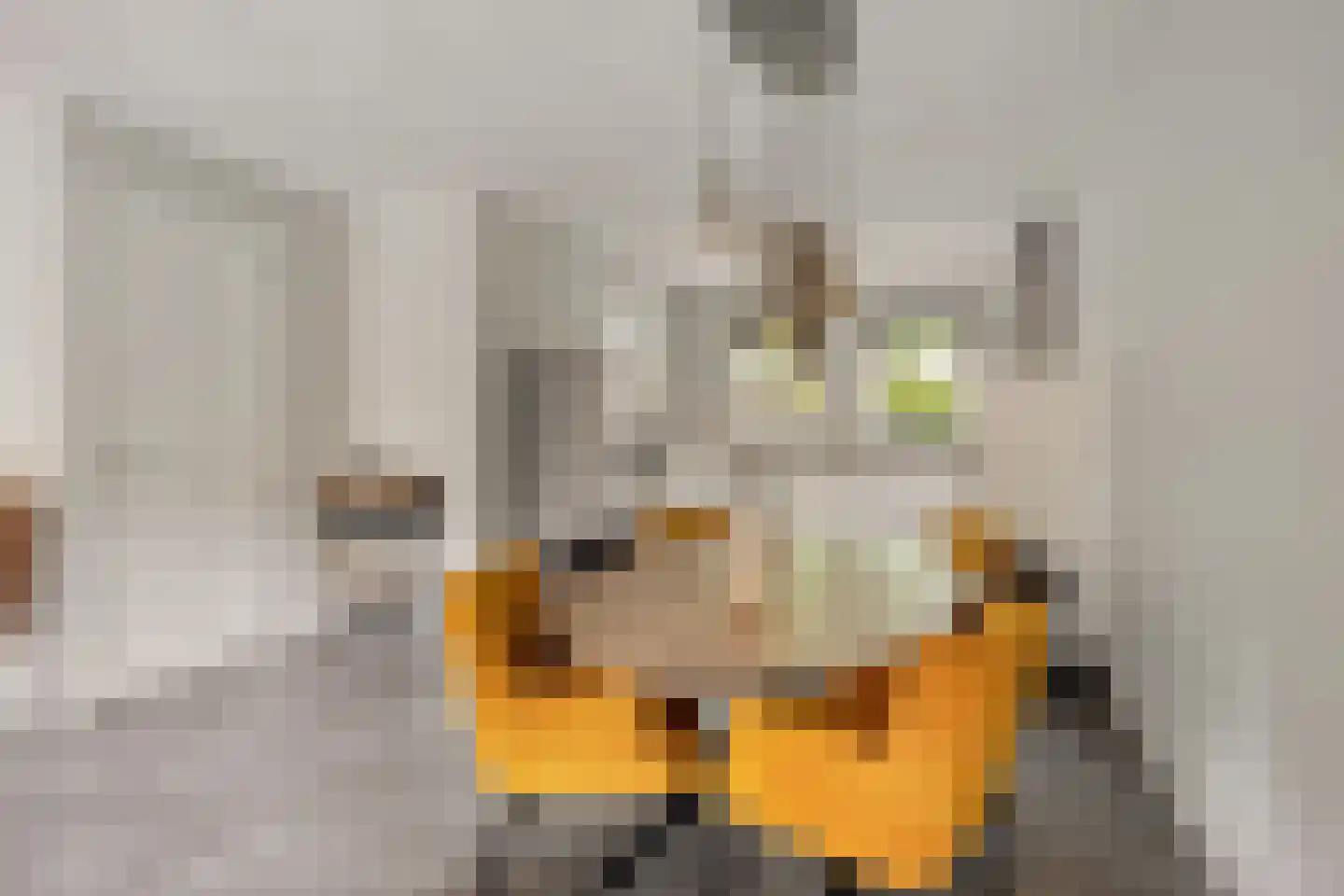 Zonnedauw 22 Odiliapeel thumbnail 6