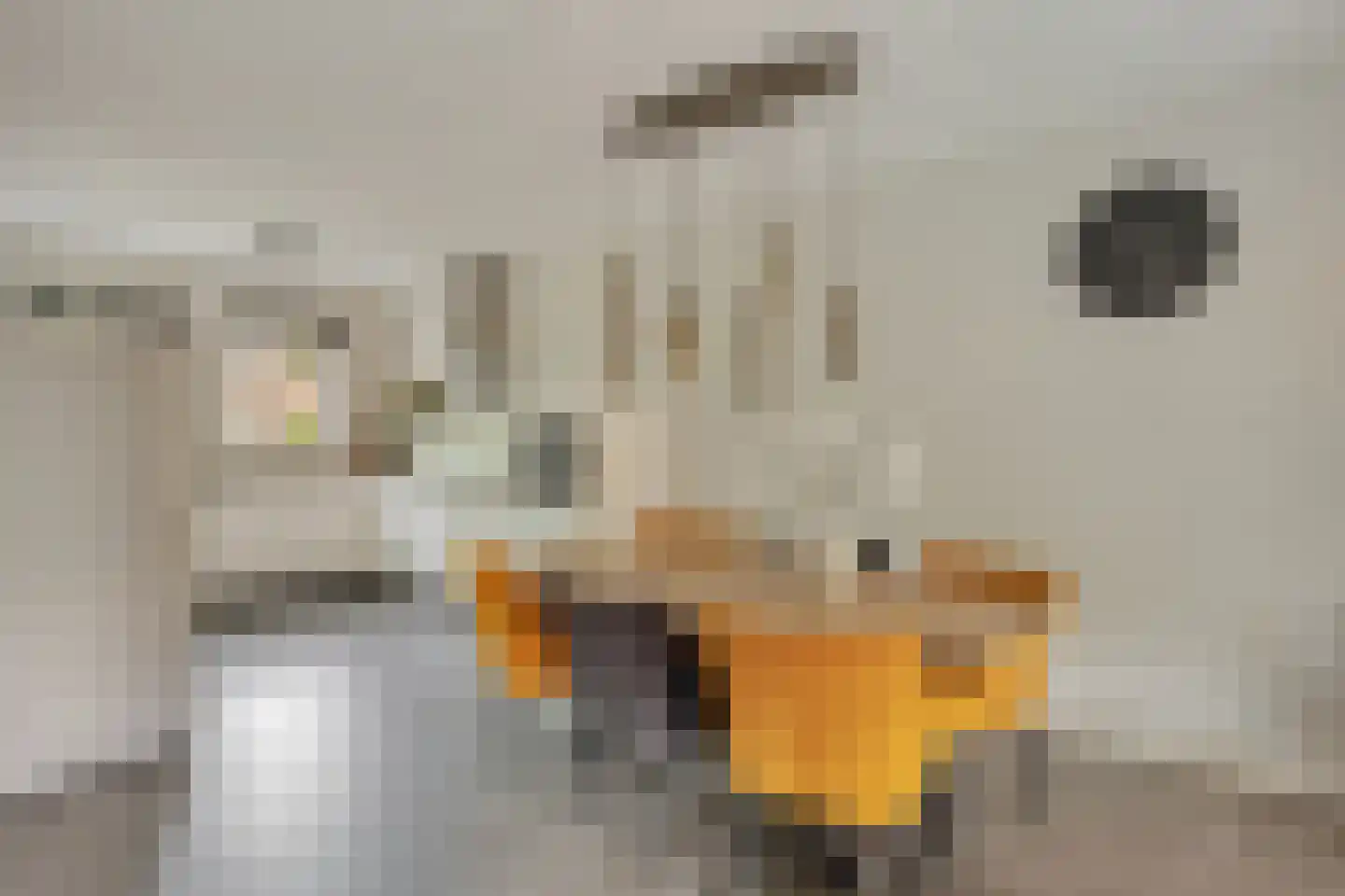 Zonnedauw 22 Odiliapeel thumbnail 7