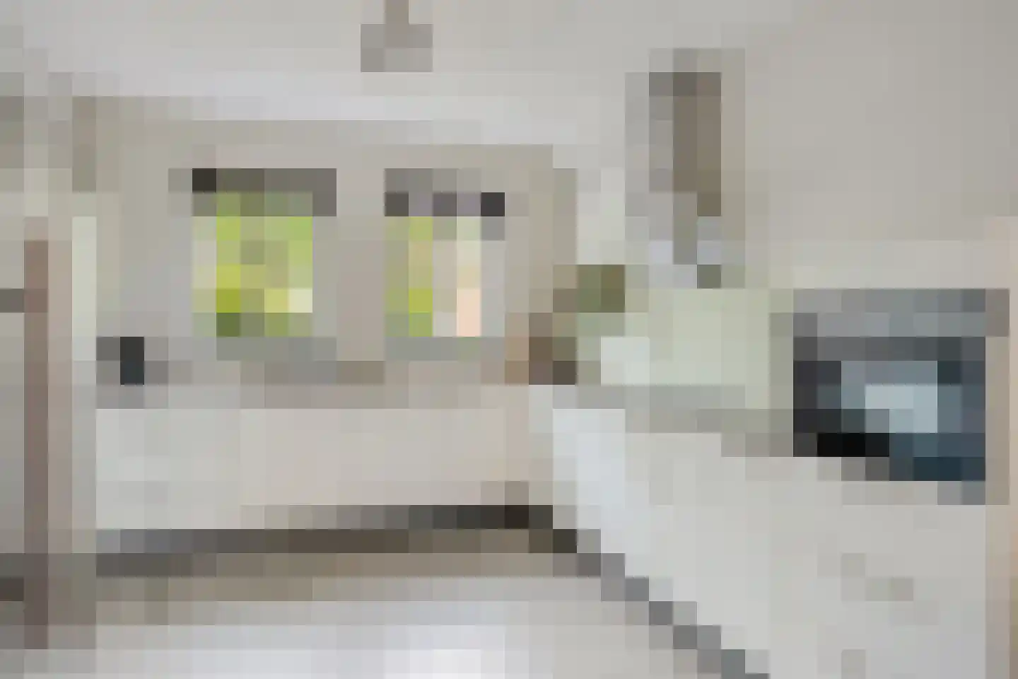 Zonnedauw 22 Odiliapeel thumbnail 8