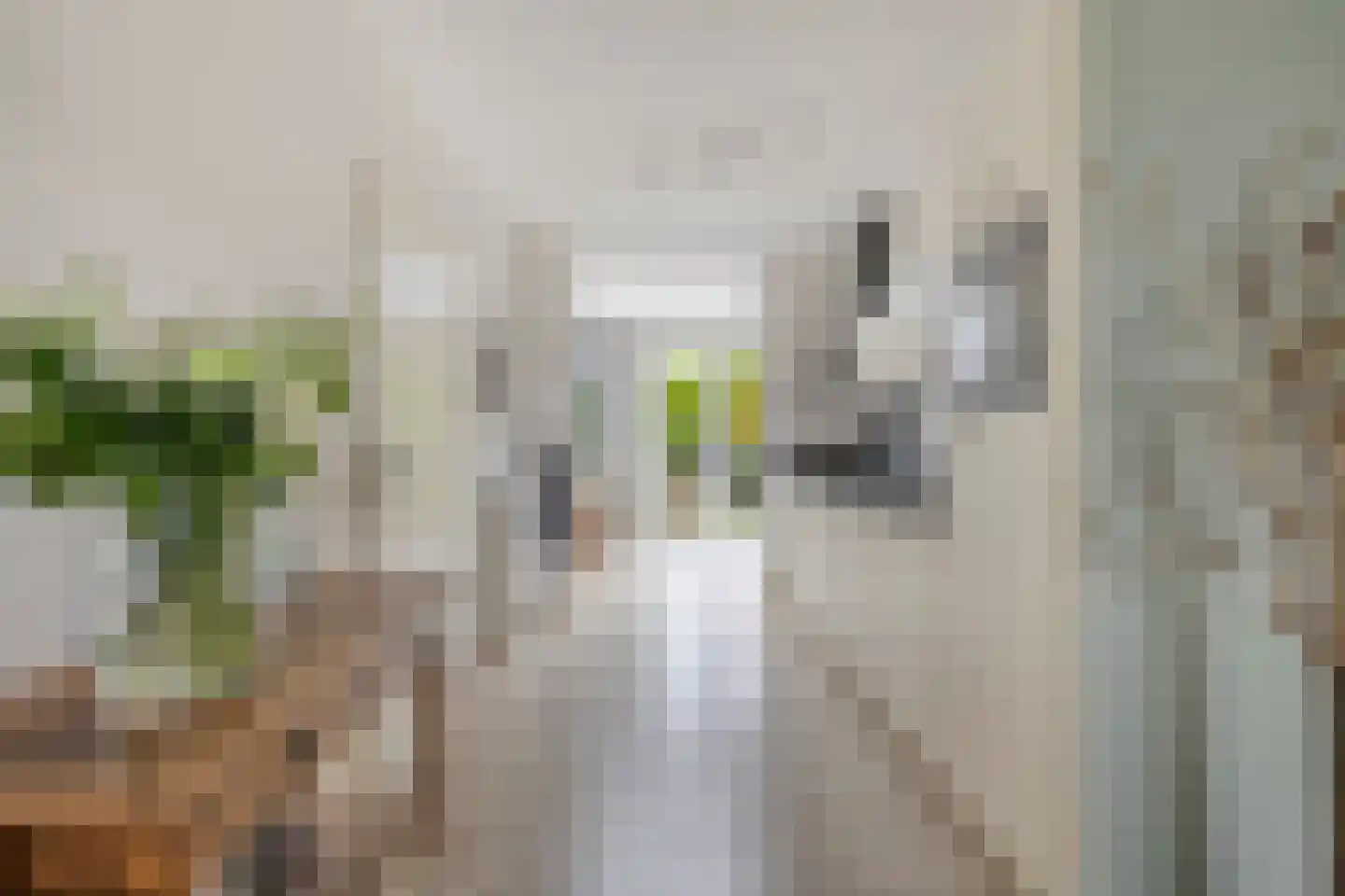 Zonnedauw 23 Meijel thumbnail 11