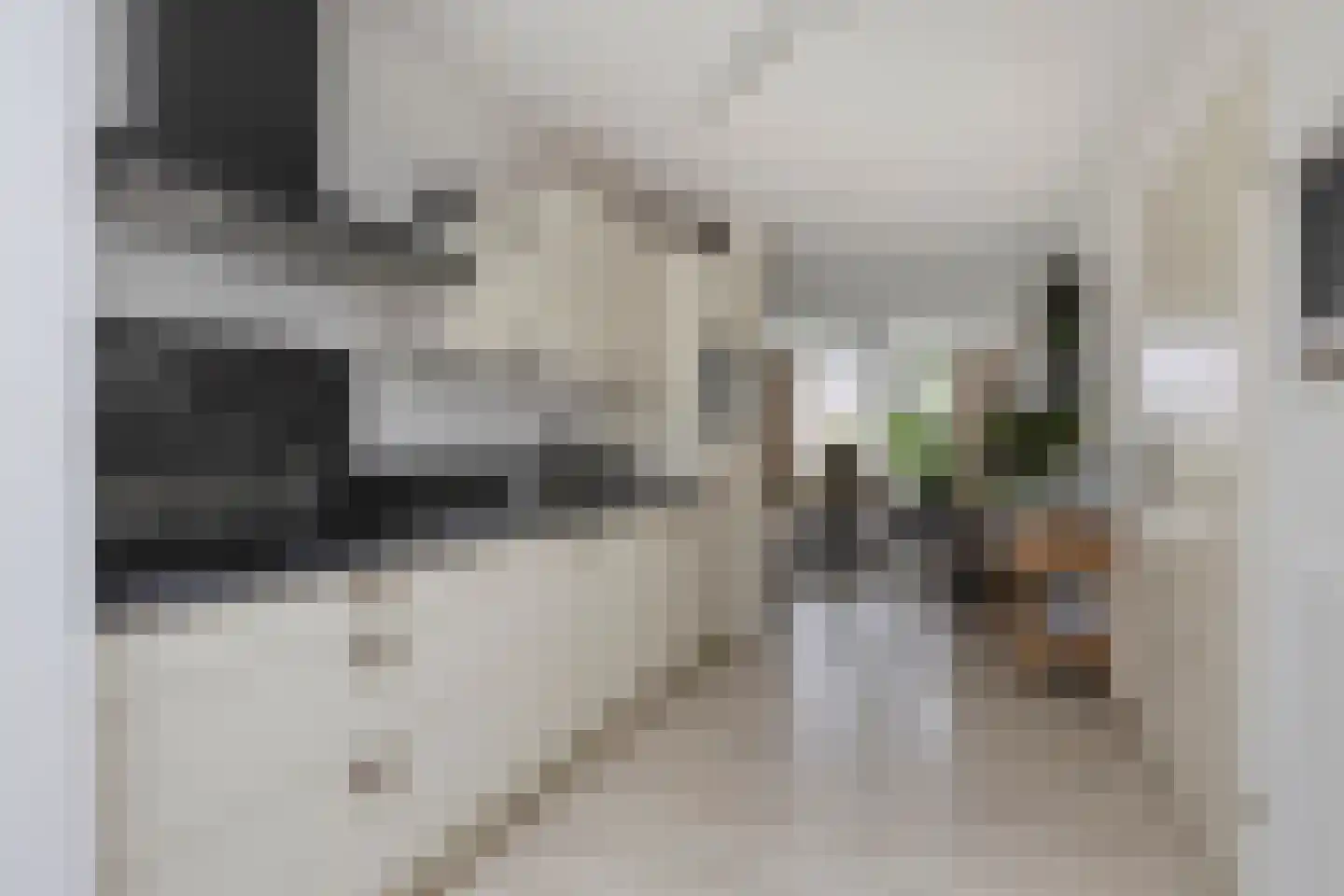 Zonnedauw 23 Meijel thumbnail 13
