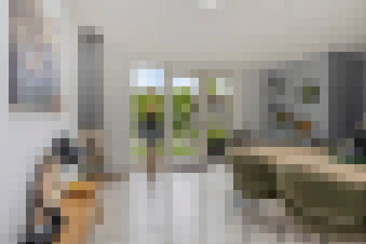 Zonnedauw 23 Meijel thumbnail 14