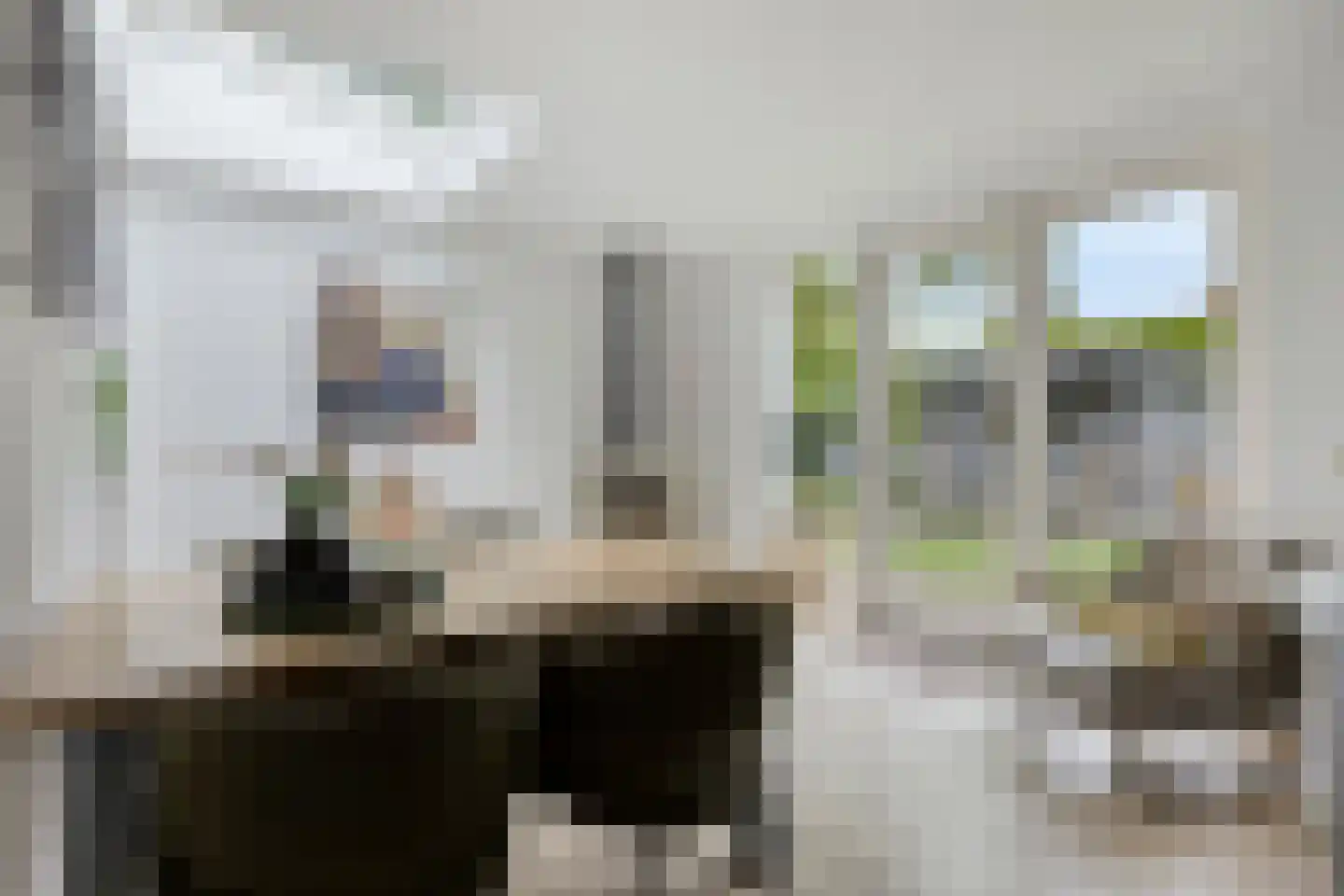 Zonnedauw 23 Meijel thumbnail 16