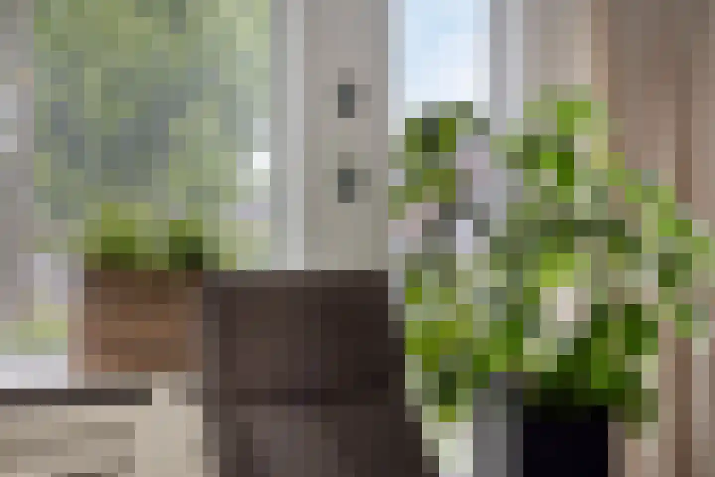 Zonnedauw 23 Meijel thumbnail 18