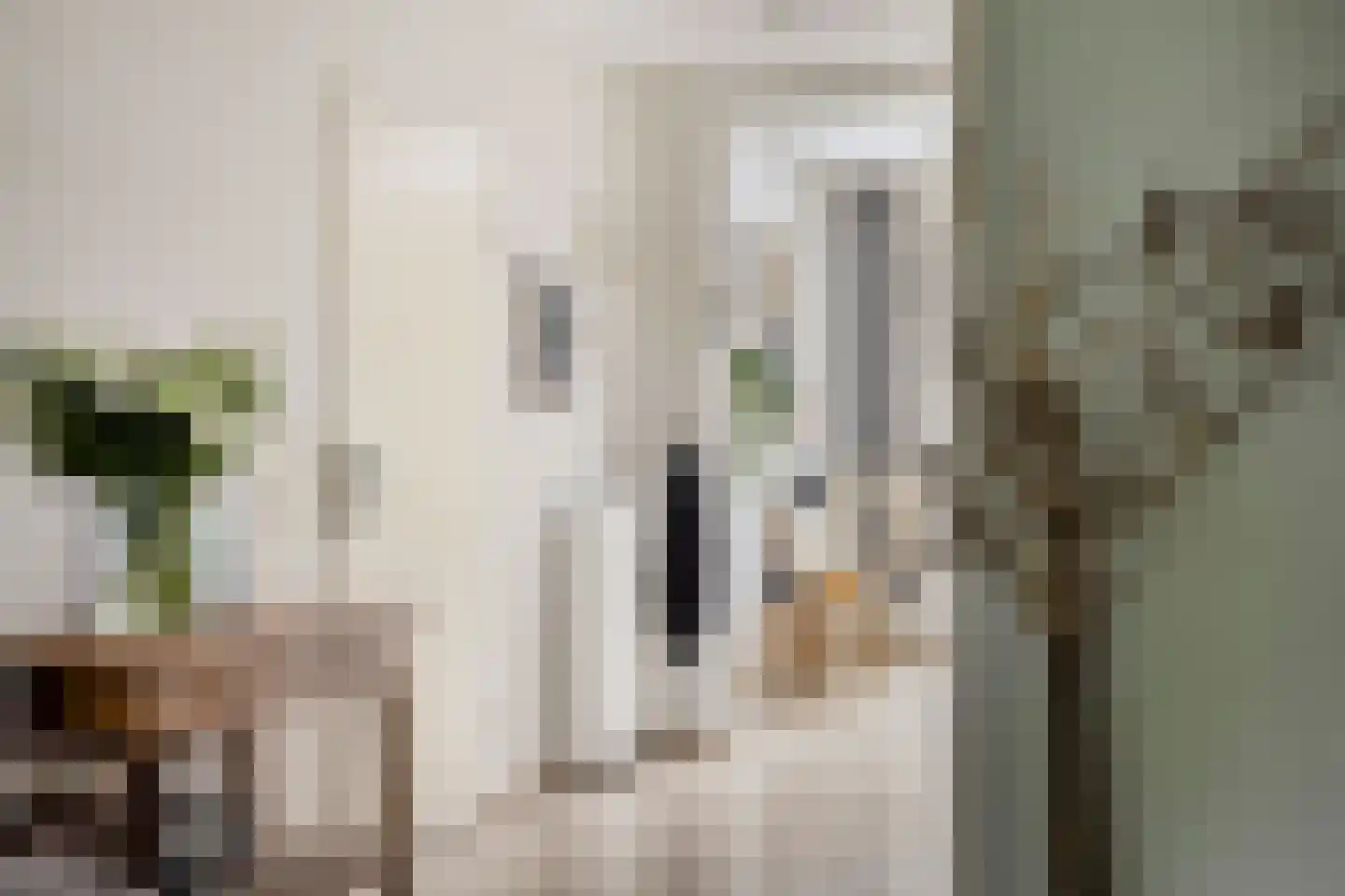 Zonnedauw 23 Meijel thumbnail 19