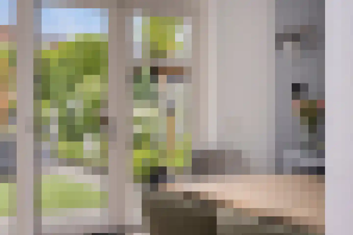 Zonnedauw 23 Meijel thumbnail 22